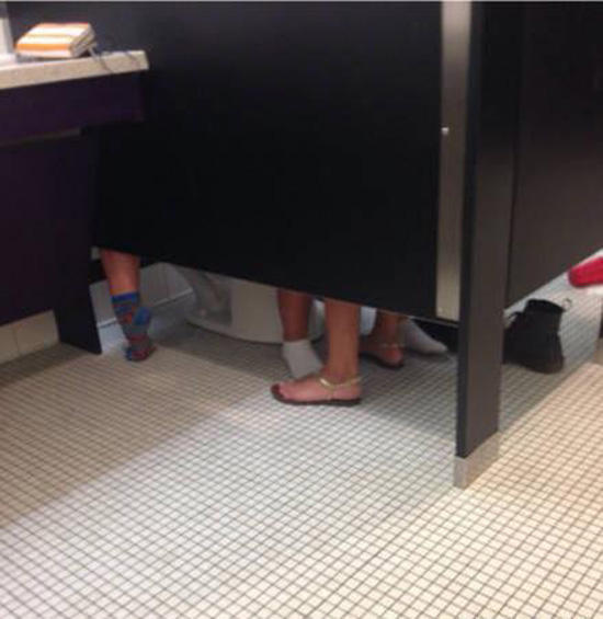 《廁所裡的六腳獸》這到底是什麼神姿勢.... | 蕃新聞